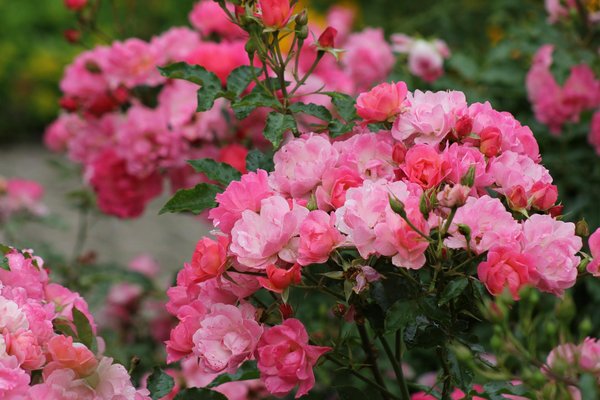 Ultimate guide to indoor comfort: expert strategies for uk residents to optimize humidity control with dehumidifiers